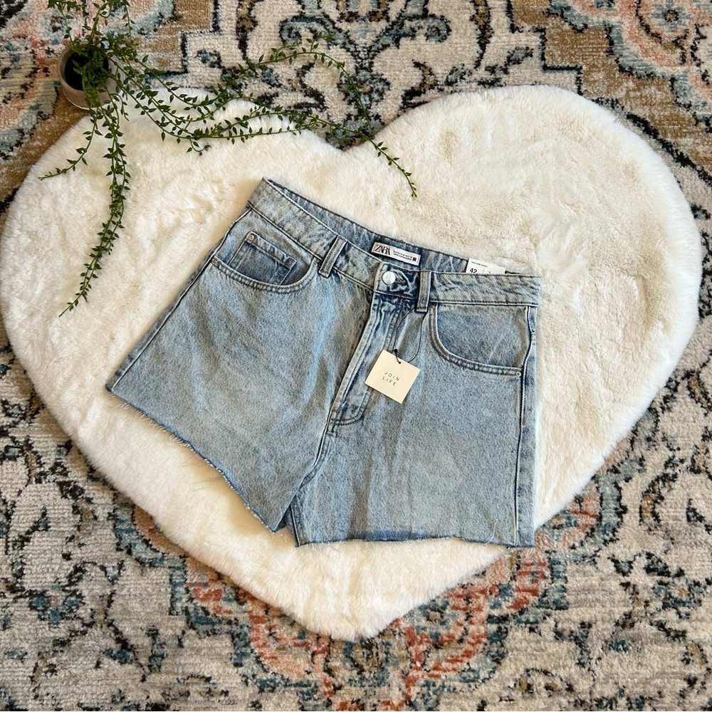 Zara High Rise Denim Shorts